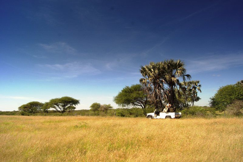 Dornhuegel Guestfarm Otel Grootfontein Dış mekan fotoğraf