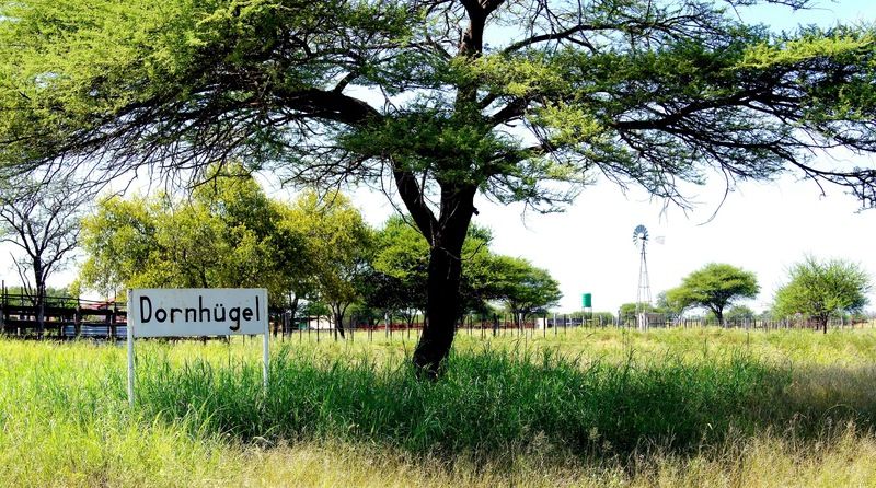 Dornhuegel Guestfarm Otel Grootfontein Dış mekan fotoğraf