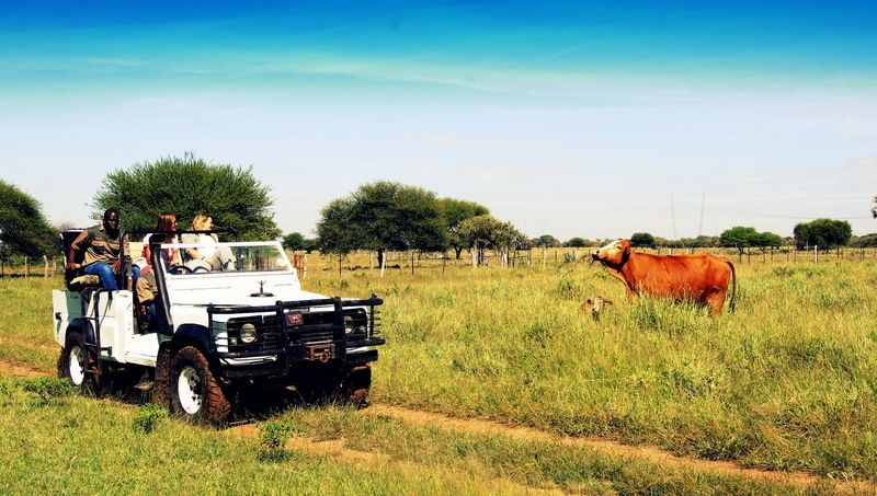 Dornhuegel Guestfarm Otel Grootfontein Dış mekan fotoğraf