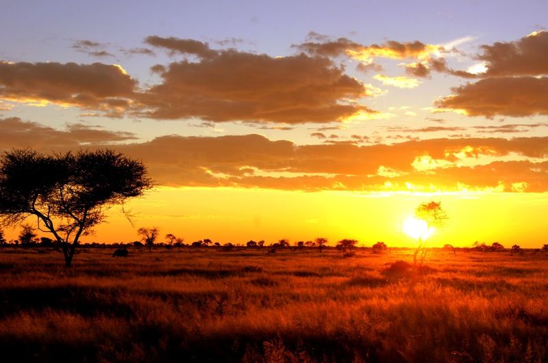 Dornhuegel Guestfarm Otel Grootfontein Dış mekan fotoğraf